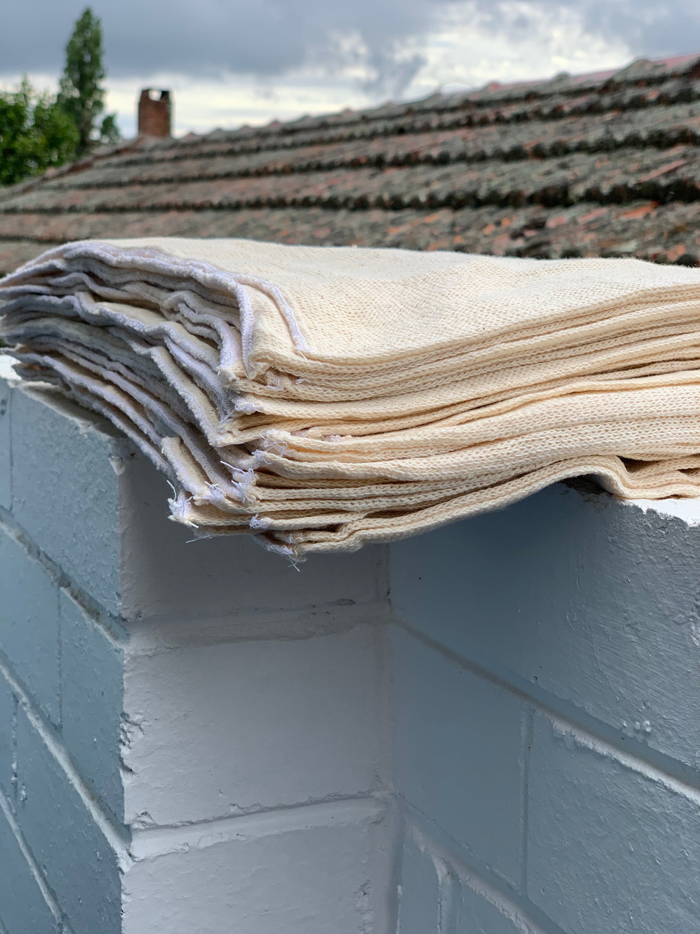 Carton (36) Cheesecloth